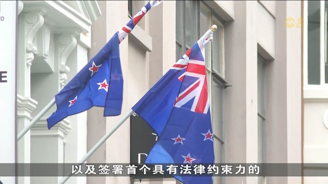 新加坡与新西兰深化双边关系 强化安全与贸易合作