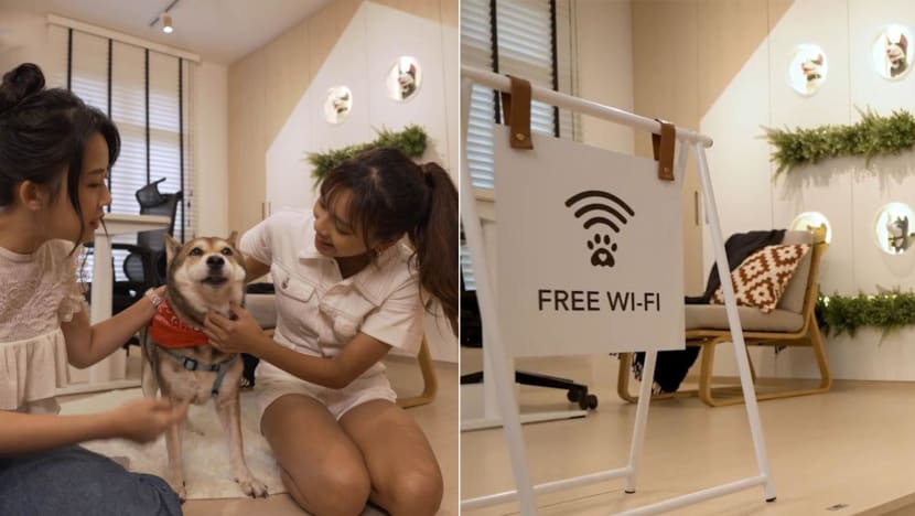01_pet_cafe_home