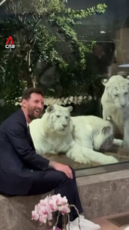 Messi wraps up India tour with visit to Ambani zoo