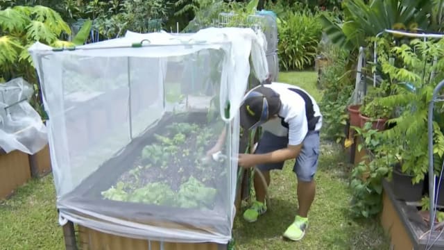 国家公园局租用原地计划需求强劲 上千花床全被租用