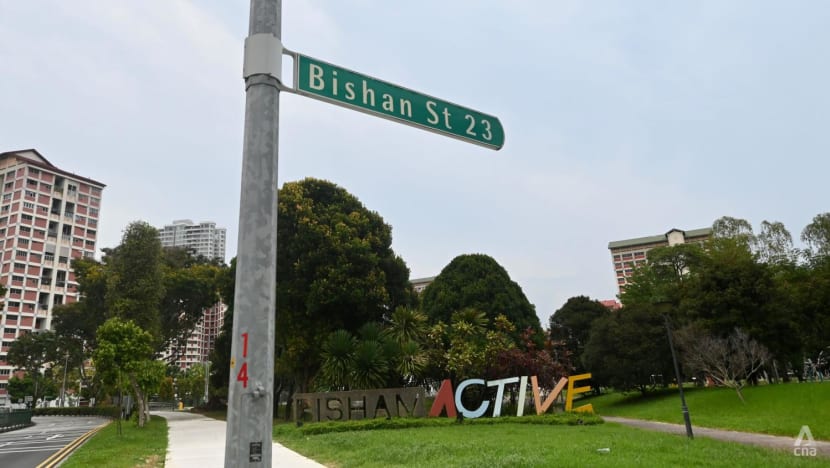 Maid charged with murder of 73-year-old man in Bishan