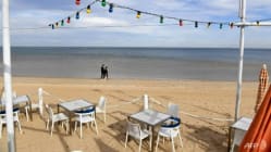 Related article image