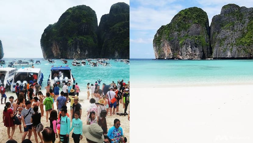 Sharks return to Thailand’s famous Maya Bay after tourist ban Sharks return to Thailand’s famous Maya Bay after tourist ban