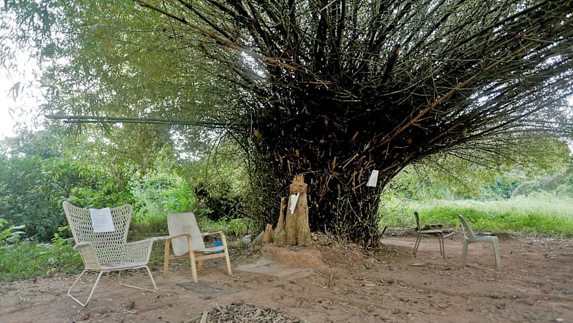 Clearing of Tanglin Halt ‘hangout’ upsets activists