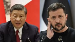Related article image