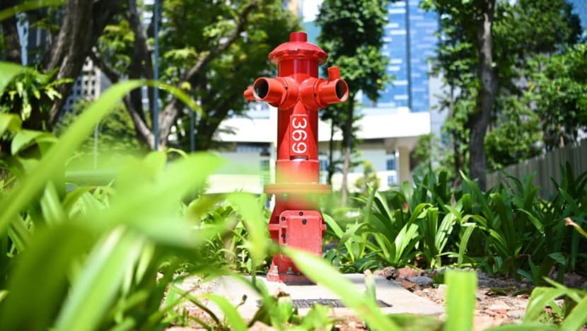 Singapore trials new fire hydrants that are easier and faster to operate 