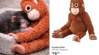 Viral Monkey Punch's S$19.90 Ikea Plush Toy Now Worth S$442 On Ebay; Sold Out In S'pore Too