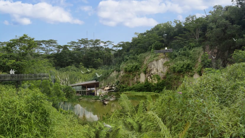 Wildlife-rich Rifle Range Nature Park could feature bridge crossing when completed in 2020