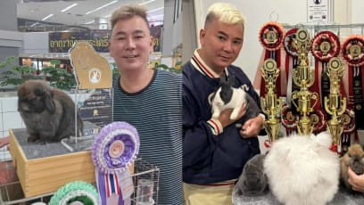 Ex Celeb Hairstylist Addy Lee Is Now A Rabbit Breeder In BKK, Tells Ex-Clients He Will Only Cut Their Hair Again If They "Turn Into A Rabbit"