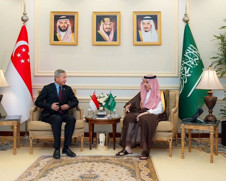 Vivian Balakrishnan stresses importance of free transit through Strait of Hormuz during Gulf visit