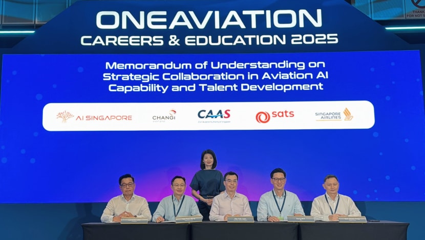 SG pertingkat usaha tambah bakat, guna AI dalam sektor penerbangan