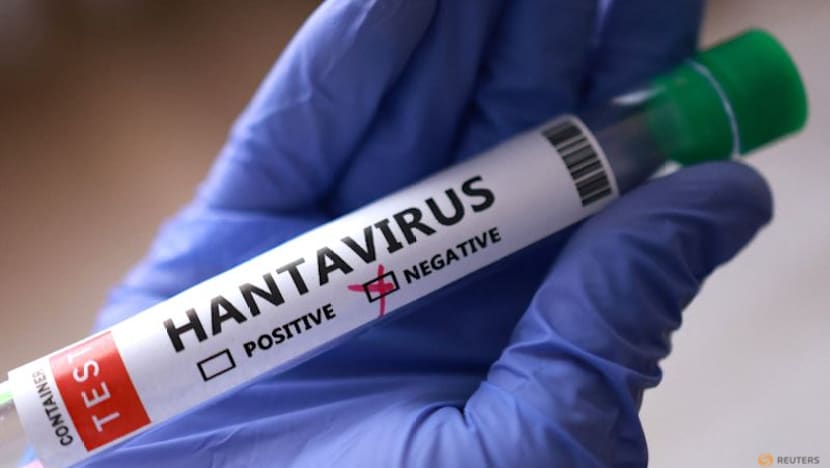 Tests in Italy, Spain come back negative in global hunt for hantavirus