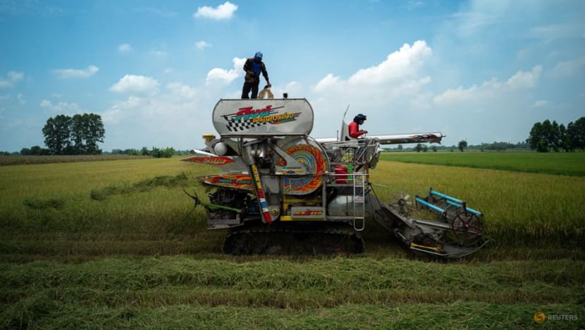 Thai first-quarter rice exports fall 30% annually