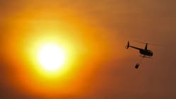 Related article image