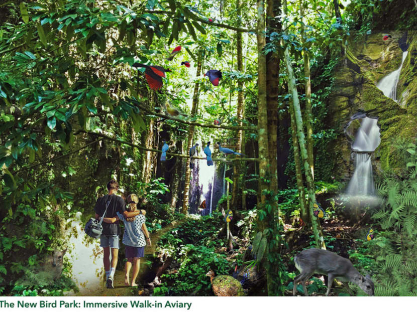 An artist’s impression of the new bird park. There are concerns about the eco-friendliness of the new bird park, which would require more fences and pose problems for wildlife movement in the area. Photo: Mandai Safari Park Holdings