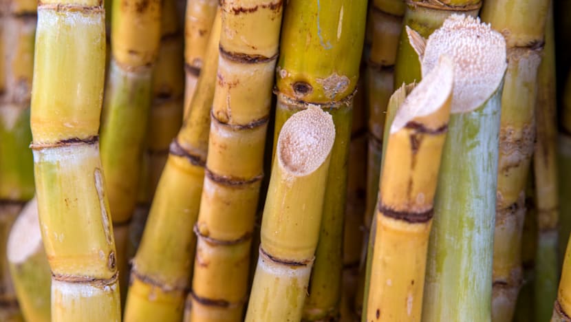 Related article image