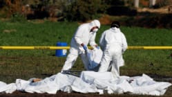 Related article image