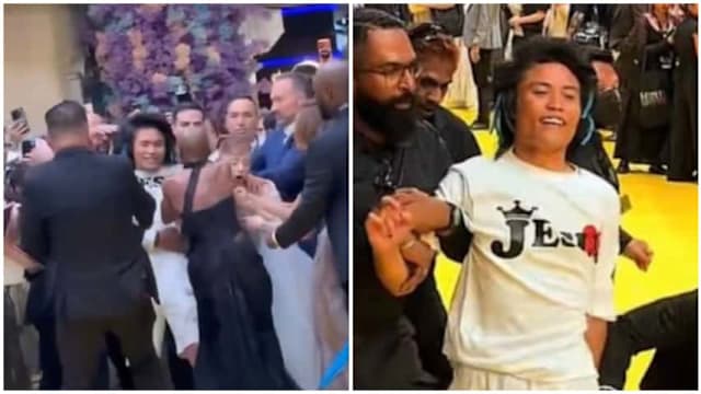 跨保安栏杆扑向女星 男子今被控公共滋扰罪  