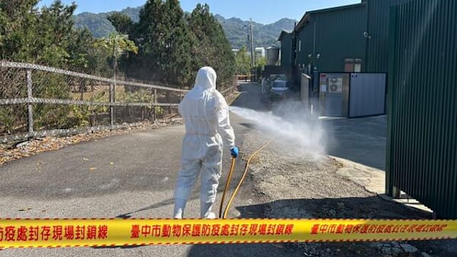 台中牧场爆禽流感 负责人瞒报还售逾1440斤鸡蛋