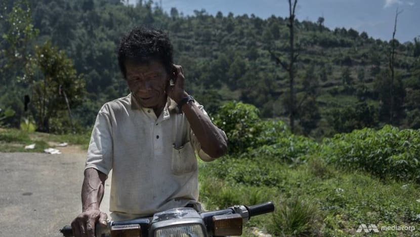 Orang Asli land under threat in Pahang as Musang King plantations grow Orang Asli land under threat in Pahang as Musang King plantations grow