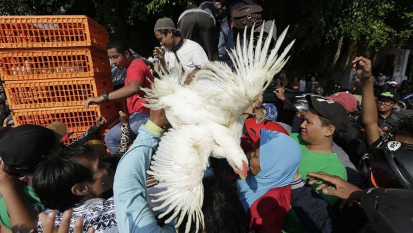 Gambar Pilihan Hari Ini