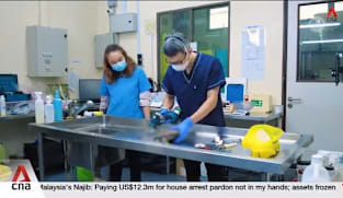 CNA UP CLOSE: Meet the vet pathologist who studies the dead to better care for the living