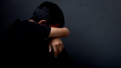 Related article image