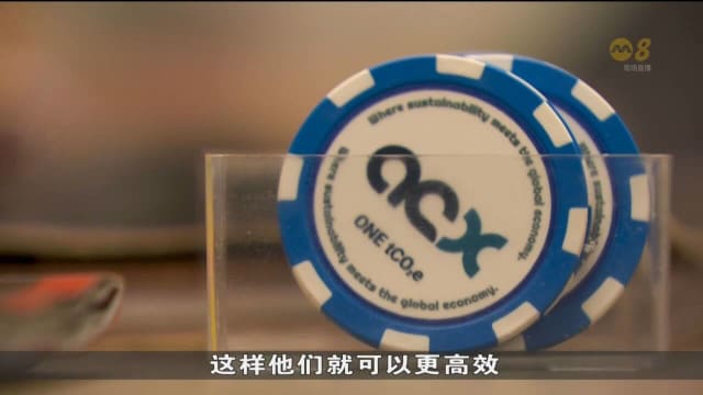 COP28开幕在即 本地企业盼同海外企业建立新合作关系