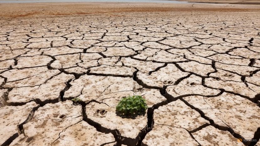 World hits streak of record temperatures as UN warns of 'climate hell' World hits streak of record temperatures as UN warns of 'climate hell'