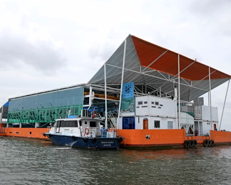 New floating fish farm off Changi aims to produce more seafood than traditional coastal farms