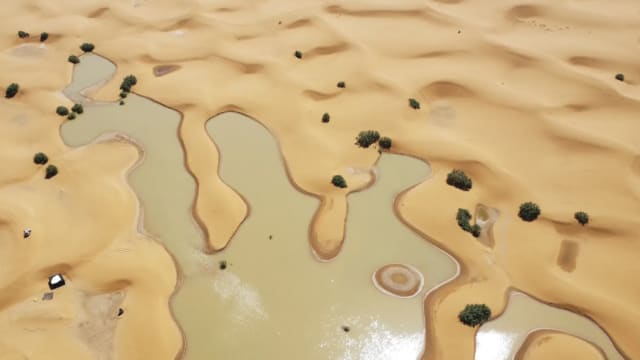 撒哈拉沙漠罕见淹水 五十年干涸湖重见水影