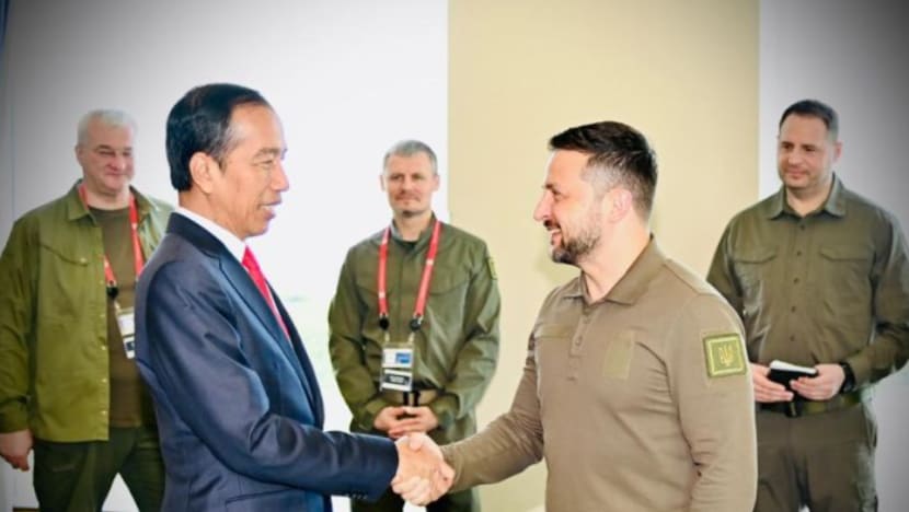 Indonesia sedia bantu usaha damai Ukraine-Rusia, kata Presiden Jokowi