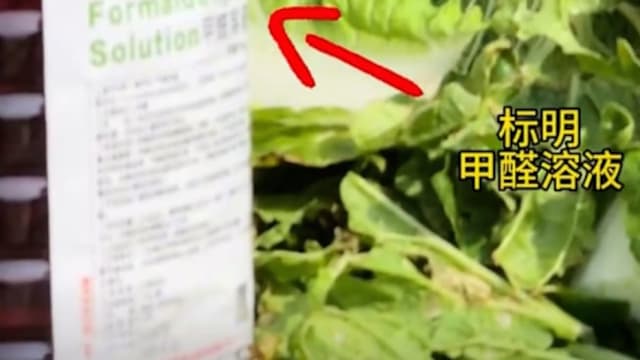 涉河北“甲醛白菜”事件 三人被刑拘