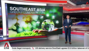 Systems-based approach could accelerate Southeast Asia's green economy growth: Report