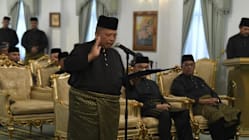 Related article image