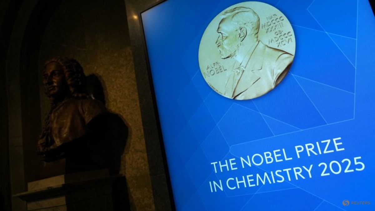 Trio wins chemistry Nobel for new form of molecular architecture
