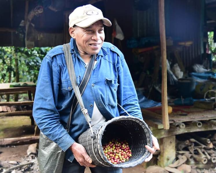 From one addiction to another: Thailand’s ethnic minorities quit opium for coffee
