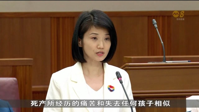 国会三读通过死产与出生杂项修订法案 父母可为死胎注册名字