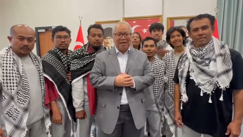 Disiksa dan disetrum tentara Israel, 9 WNI relawan Gaza akhirnya bebas