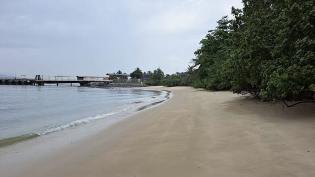 樟宜海滩水质已恢复正常
