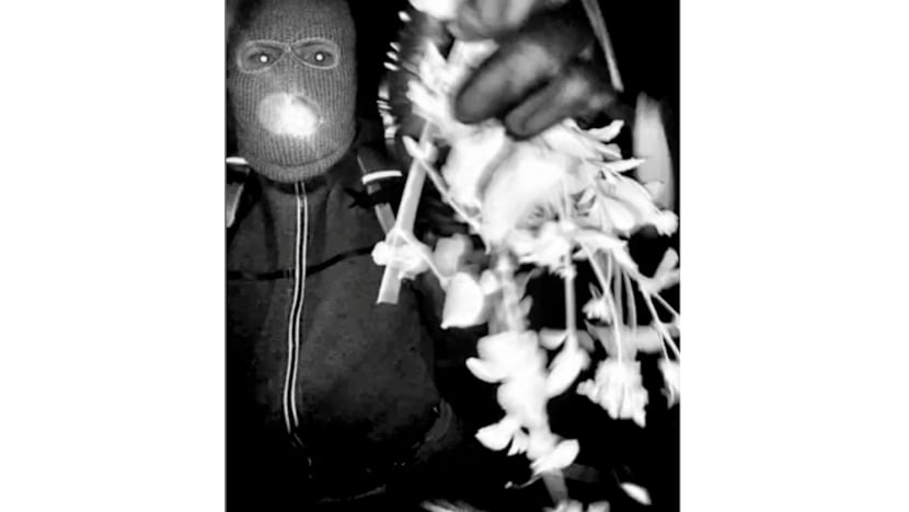 FBI: DNA recovered from glove near Guthrie home that appears to match suspect's glove