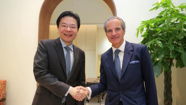 黄总理会见国际原子能机构总干事格罗西
