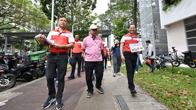 GE2025: Redrawn boundaries in West Coast an 'uphill battle' with short runway to next election, says PSP’s Leong Mun Wai  
