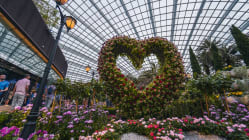 Related article image