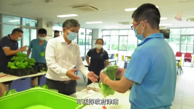 【普华】前线追踪：特需青年怎么掌握一技之长？