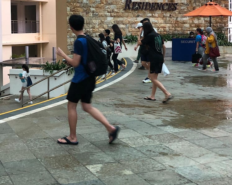 Student safety, Yale-NUS merger: WP MP calls for greater accountability, less ‘opaque’ decision-making at tertiary institutions