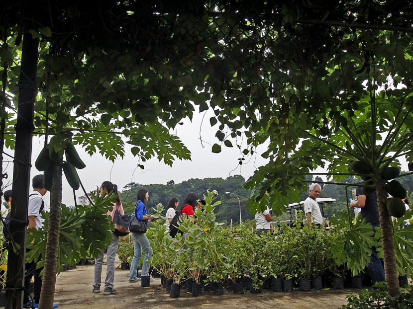 NEA launches ‘no waste days’ challenge