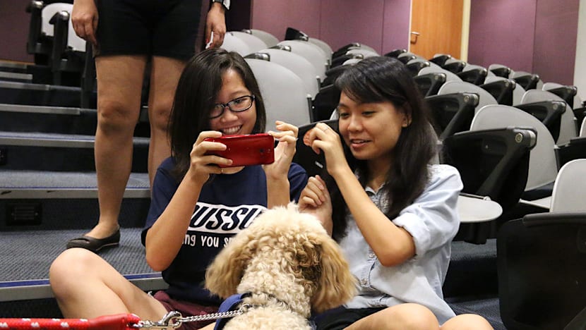 NUS students find a pawsome way to destress