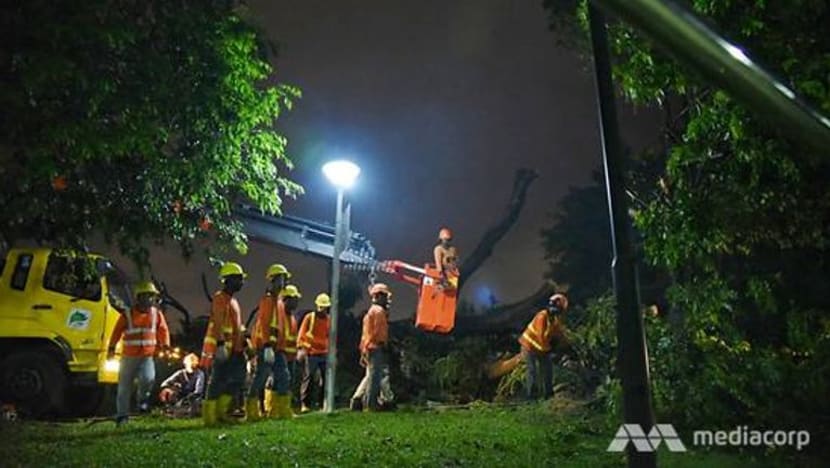 14 orang dikejar ke hospital setelah pokok tumbang di Sembawang Park 14 orang dikejar ke hospital setelah pokok tumbang di Sembawang Park