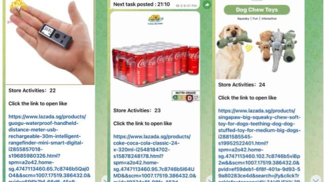 误坠购物反馈赚现金回报骗局 男子损失逾2000元